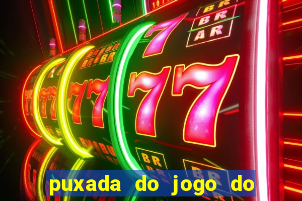 puxada do jogo do bicho da sueli